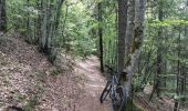 Randonnée V.T.T. Villard-de-Lans - VTT  SR - De Villard-de-Lans  à Lans En Vercors (Quasiment le Col de la Croix Perrin). - Photo 7