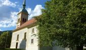 Tour Zu Fuß Gemeinde Rettenegg - Kalteneggerweg - Photo 8