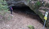 Excursión A pie Gomadingen - Eiszeitpfade: Laichinger Höhlentour - Photo 4