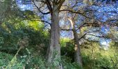 Trail Walking Mazamet - Mazamet passerelle  - Photo 1