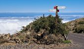Excursión Senderismo Garafía - La Palma 5 : GR131- Roque de Los Muchachos - Pic de la Nieve - Photo 18