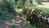Trail Walking Bozouls - Bozouls - Photo 9