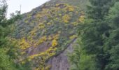 Tocht Stappen Villafranca del Bierzo - Vega de Valcarce - Photo 8