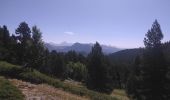 Tour Wandern Châtillon-en-Diois - La Croix du Lautaret - Photo 7