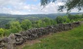 Tour Elektrofahrrad Saint-Urcize - st urcize laguiole st chery - Photo 1