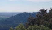 Randonnée Marche Valflaunès - l'Hortus crêtes  - Photo 14