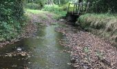 Tocht Stappen Baulon - 28.09.2019 - De Baulon-ouest à Maxent - Photo 1