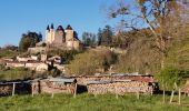 Tour Wandern Saint-Jean-le-Vieux - forêt de Saint Jean - Photo 11