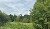 Tour  Chavannes - Étang du Mouchet , Chavannes, Chantemerle les Blés  - Photo 8