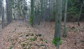 Tocht Te voet Bad Tabarz - Tabarz - Tanzbuche (Grüner Balken) - Photo 7