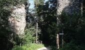 Trail Walking Lyon - Vieux Lyon-Mornant 09 et 10 2021 - Photo 18