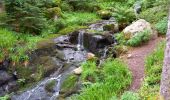 Tour Wandern Gerdsee - gerardmer - Photo 2