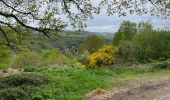 Randonnée Marche Olne - Crucifix panorama échaliers Forêt  - Photo 1