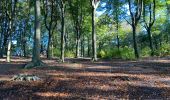 Tour Wandern Kluisbergen - Kluisbergen mont de l’Enclus 16 km - Photo 10