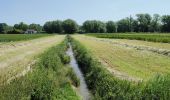 Tour Wandern Hannut - La balade des chevées (5km)  - Photo 10