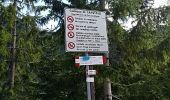 Trail On foot Tarvisio - IT-654 - Photo 2