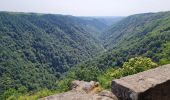 Excursión Senderismo Camps-Saint-Mathurin-Léobazel - Camps - Mercoeur - Photo 1