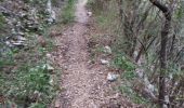 Trail Walking Auriol - les Encanaux  - Photo 4