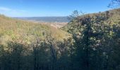 Trail  Mazamet - PASSERELLE DE MAZAMET AVEC PHOTOS - Photo 4