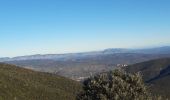 Trail Walking Boule-d'Amont - serrabonne - Photo 1