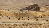 Trail On foot Central Arava Regional Council - Nahal Gov - Photo 2