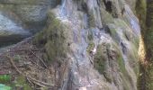 Trail Walking Ornans - Cascades de la Peusse, Baume Bourla - Photo 5