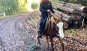 Trail Horseback riding Neuviller-lès-Badonviller - Ar direction angomont  - Photo 3