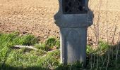 Randonnée Marche Walhain - Walhain _ Marche privée  - Photo 2