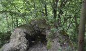 Tour Wandern Ottignies-Louvain-la-Neuve - Lauzelle - Circuit Natura 2000, des sites qui valent le détour ! - Bw01 - Photo 2