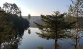 Trail Walking Badonviller - Marche autour du lac de Pierre Percée 1 - Photo 1