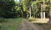 Trail Walking Étalle - chanterelle 12km wiki 202p - Photo 6