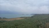 Tour Wandern Cancale - Pointe de Grouin 4.7.23 - Photo 3