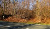 Tour Zu Fuß Vieux-Moulin - en forêt de Compiègne_23_la Grotte des Ramoneurs_le Mont Berny - Photo 3