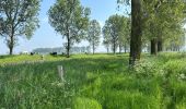 Trail Walking Sluis - Aardenburg 19 km - Photo 9