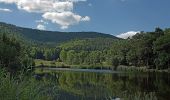 Tour Zu Fuß Edenkoben - Rundweg 1 - Photo 4