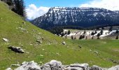 Randonnée Marche La Roche-sur-Foron - GLIERES / BORNES: LE CHENET - SUR COU - COL DU FREU - ROCHE PARNAL - COL DU CABLE - BALME - Photo 1