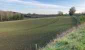 Tocht Stappen La Louvière - Saint-Vaast / Terrils / 2020-11-03 / 15 km - Photo 3