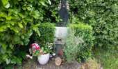 Trail On foot Eupen - Der Talsperrenweg - Photo 1