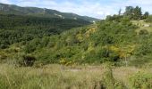 Trail Walking Buoux - Buoux-Grand Luberon 17km - Photo 7