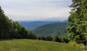 Trail Walking Le Hohwald - Le Hohwald Champs du Feu  - Photo 2