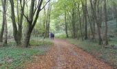 Tocht Stappen Saint-Aubin-Épinay - 20201020-Epinay - Photo 10