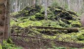 Tour Wandern Monschau - Höfen variante narcisses 15,3 km - Photo 12