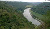 Trail Walking Dinant - anserem - Photo 2