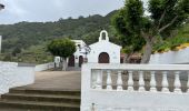 Tour Wandern Buenavista del Norte - PR TF59 Mirador Cruz de Hilda -Masca  - Photo 6