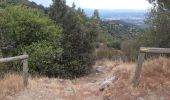 Tocht Stappen Montesquieu-des-Albères - dans les environs de Montesquieu  - Photo 4