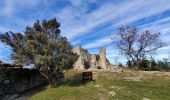 Randonnée Marche Allan - Allan Château de Rochefort en Valdaine - Photo 3