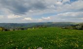 Tocht Stappen La Roche-en-Ardenne - la roche - rendeux - la roche - Photo 2