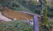 Trail Mountain bike Saint-Marcellin-en-Forez - 241020 lurieq la goutte - Photo 1