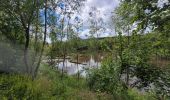 Tocht Stappen Gedinne - rando bourseigne vieille 15-06-2024 - Photo 20