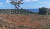 Excursión Senderismo Sainte-Marie - Boucle La Philippe - Morne Tringle - Photo 14